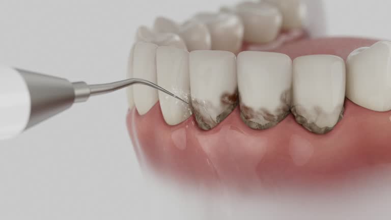 Reliable Dental contractor in Chardon, OH by Dentist Open Now